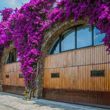Villa Eliodora - Due Appartamenti Аренцано Экстерьер фото