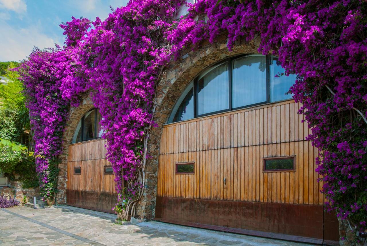 Villa Eliodora - Due Appartamenti Аренцано Экстерьер фото